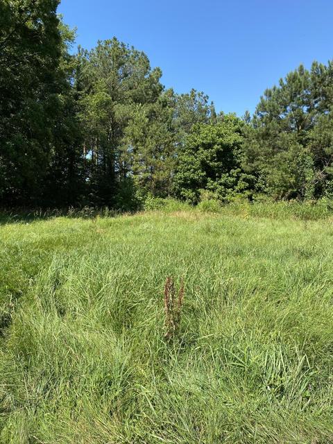 0 Franks Rd, Coldwater, MS 38618 photo 2