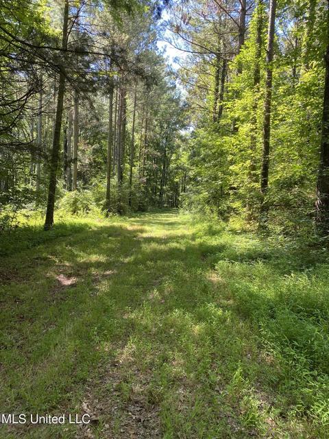 0 Franks Rd, Coldwater, MS 38618 photo 3