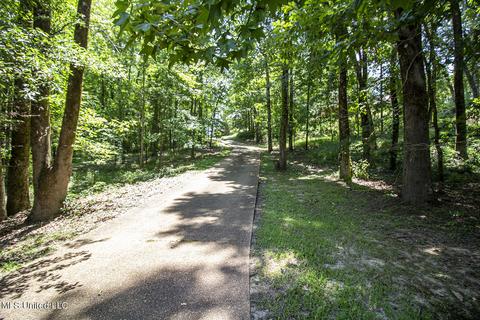105 Westminster Ct, Madison, MS 39110 photo 47