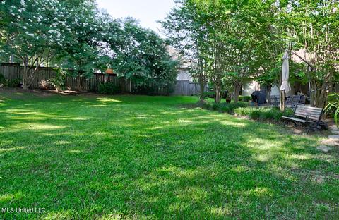 101 Azalea Cv, Madison, MS 39110 photo 26