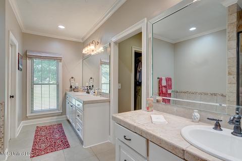 101 Azalea Cv, Madison, MS 39110 photo 13