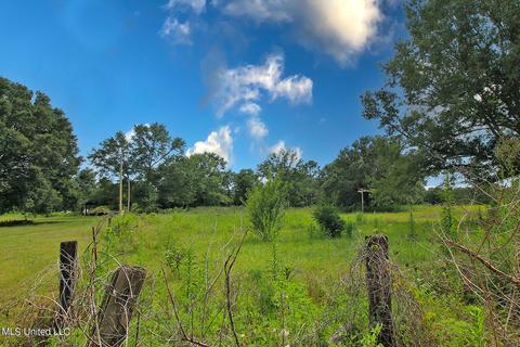 155 Glen Vincent Rd, Lucedale, MS 39452 photo 6