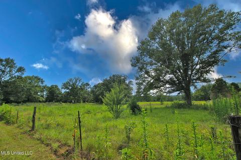 155 Glen Vincent Rd, Lucedale, MS 39452 photo 5