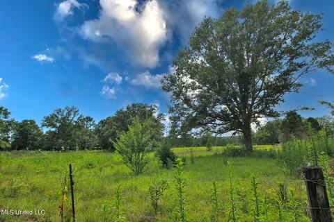155 Glen Vincent Rd, Lucedale, MS 39452 photo 4
