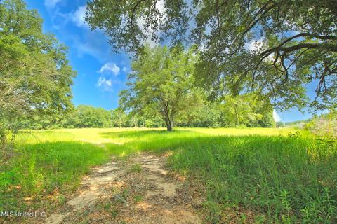155 Glen Vincent Rd, Lucedale, MS 39452 photo 1