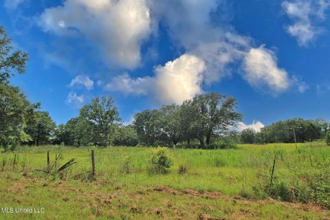 155 Glen Vincent Rd, Lucedale, MS 39452 photo 3