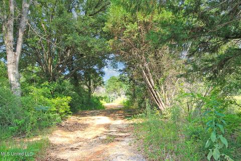 155 Glen Vincent Rd, Lucedale, MS 39452 photo 17