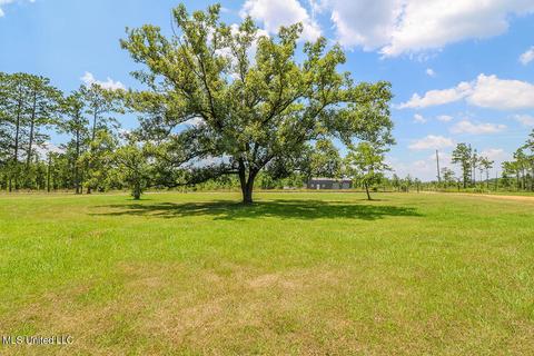 282 Tom Hempstead Rd, Lucedale, MS 39452 photo 29