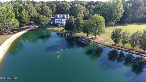 1661 Pleasant View Cv, Nesbit, MS 38651 photo 75