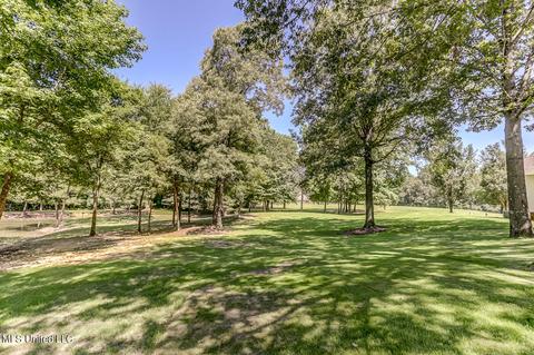 1661 Pleasant View Cv, Nesbit, MS 38651 photo 64
