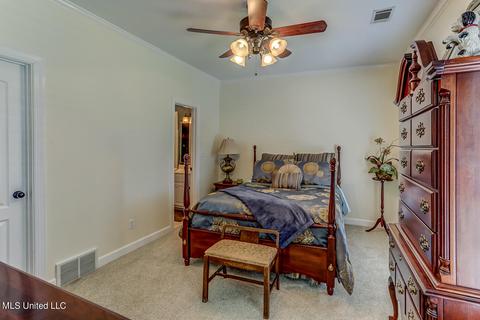 1661 Pleasant View Cv, Nesbit, MS 38651 photo 54