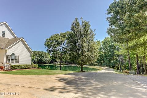 1661 Pleasant View Cv, Nesbit, MS 38651 photo 8