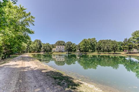 1661 Pleasant View Cv, Nesbit, MS 38651 photo 3