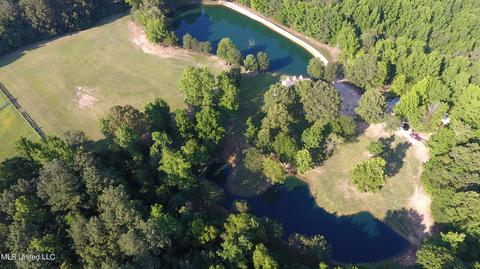1661 Pleasant View Cv, Nesbit, MS 38651 photo 72