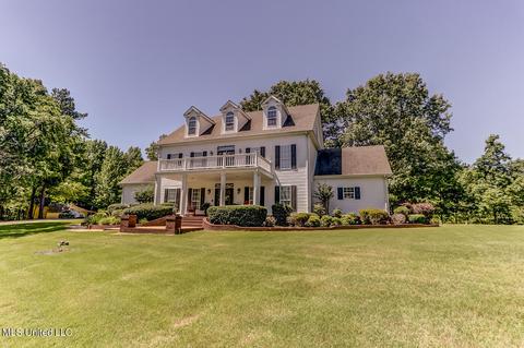 1661 Pleasant View Cv, Nesbit, MS 38651 photo 9
