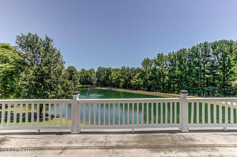 1661 Pleasant View Cv, Nesbit, MS 38651 photo 55