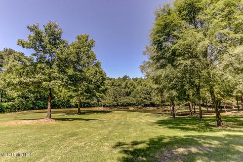 1661 Pleasant View Cv, Nesbit, MS 38651 photo 63