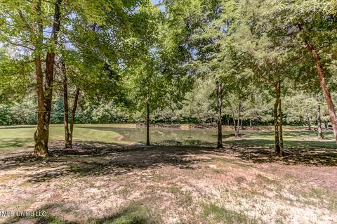1661 Pleasant View Cv, Nesbit, MS 38651 photo 65