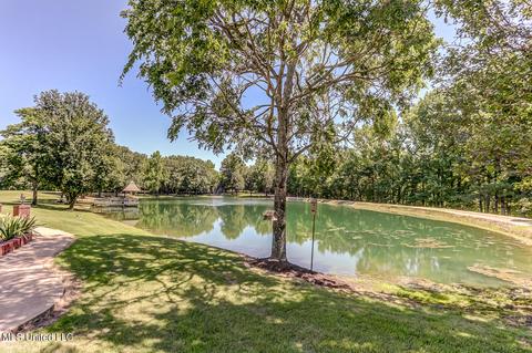 1661 Pleasant View Cv, Nesbit, MS 38651 photo 66