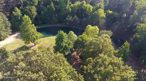 1661 Pleasant View Cv, Nesbit, MS 38651 photo 73