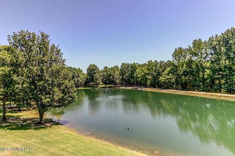 1661 Pleasant View Cv, Nesbit, MS 38651 photo 56