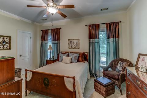 1661 Pleasant View Cv, Nesbit, MS 38651 photo 50