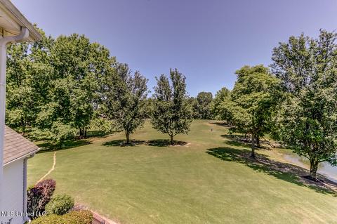 1661 Pleasant View Cv, Nesbit, MS 38651 photo 58