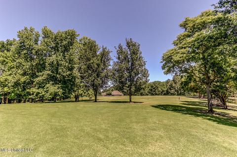 1661 Pleasant View Cv, Nesbit, MS 38651 photo 68