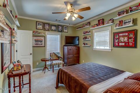 1661 Pleasant View Cv, Nesbit, MS 38651 photo 45