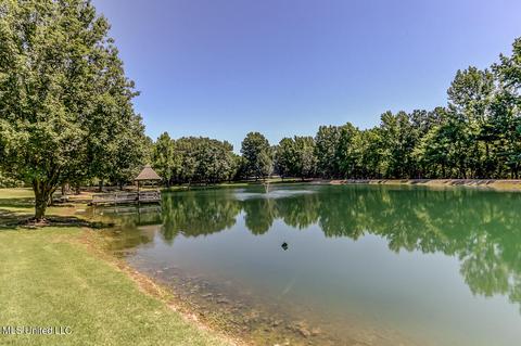 1661 Pleasant View Cv, Nesbit, MS 38651 photo 67