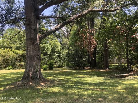 304 Southbrook Dr, Jackson, MS 39211 photo 75