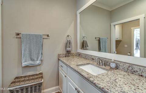 519 Timber Run, Brandon, MS 39047 photo 34