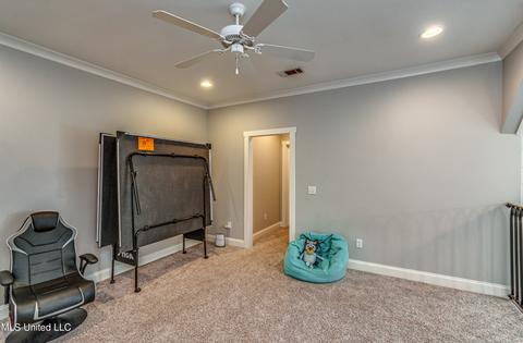 519 Timber Run, Brandon, MS 39047 photo 40