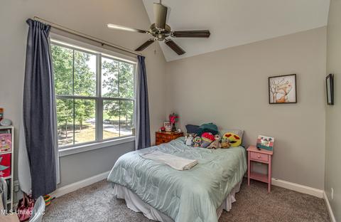 519 Timber Run, Brandon, MS 39047 photo 38
