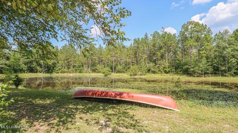 17512 Saucier Lizana Rd, Saucier, MS 39574 photo 26