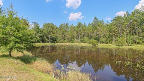 17512 Saucier Lizana Rd, Saucier, MS 39574 photo 27
