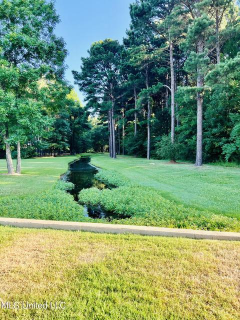 133 Memory Ln, Madison, MS 39110 photo 20