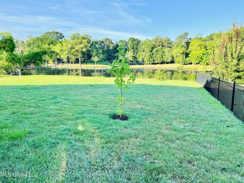 133 Memory Ln, Madison, MS 39110 photo 14