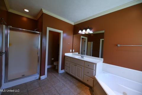 457 West Pl, Madison, MS 39110 photo 16
