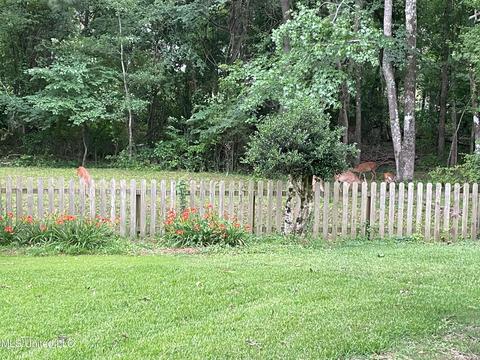 113 Willow Brook Rd, Brandon, MS 39047 photo 64