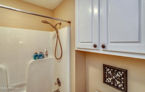 113 Willow Brook Rd, Brandon, MS 39047 photo 50