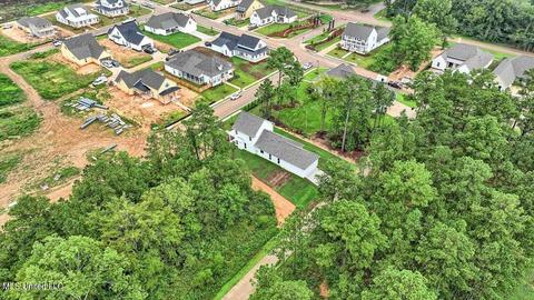 905 Bald Eagle Dr, Brandon, MS 39047 photo 64