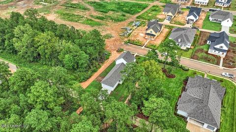 905 Bald Eagle Dr, Brandon, MS 39047 photo 63