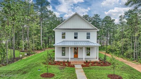 905 Bald Eagle Dr, Brandon, MS 39047 photo 53