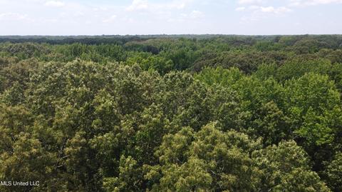2900 Starlanding Rd, Nesbit, MS 38651 photo 24