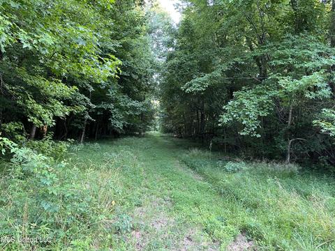 2900 Starlanding Rd, Nesbit, MS 38651