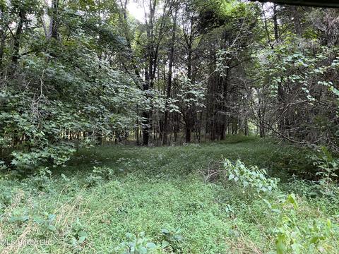 2900 Starlanding Rd, Nesbit, MS 38651 photo 5
