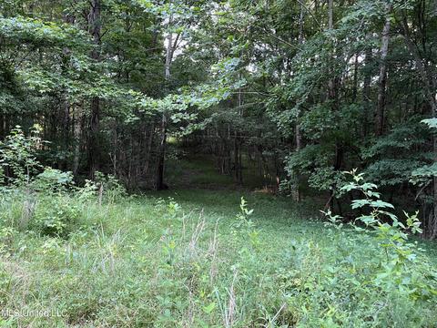 2900 Starlanding Rd, Nesbit, MS 38651 photo 9