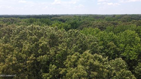2900 Starlanding Rd, Nesbit, MS 38651 photo 23