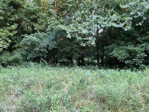 2900 Starlanding Rd, Nesbit, MS 38651 photo 4